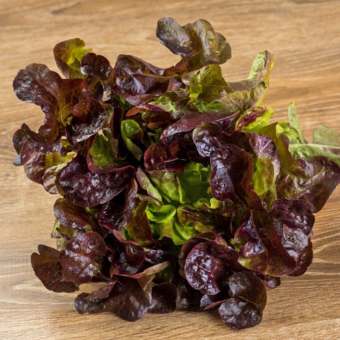 Salata Lollo Rosso za 2 osobe (300 g)