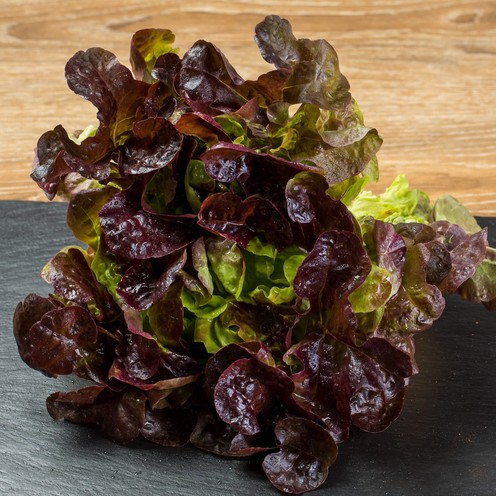 Salata Lollo Rosso za 2 osobe (300 g)